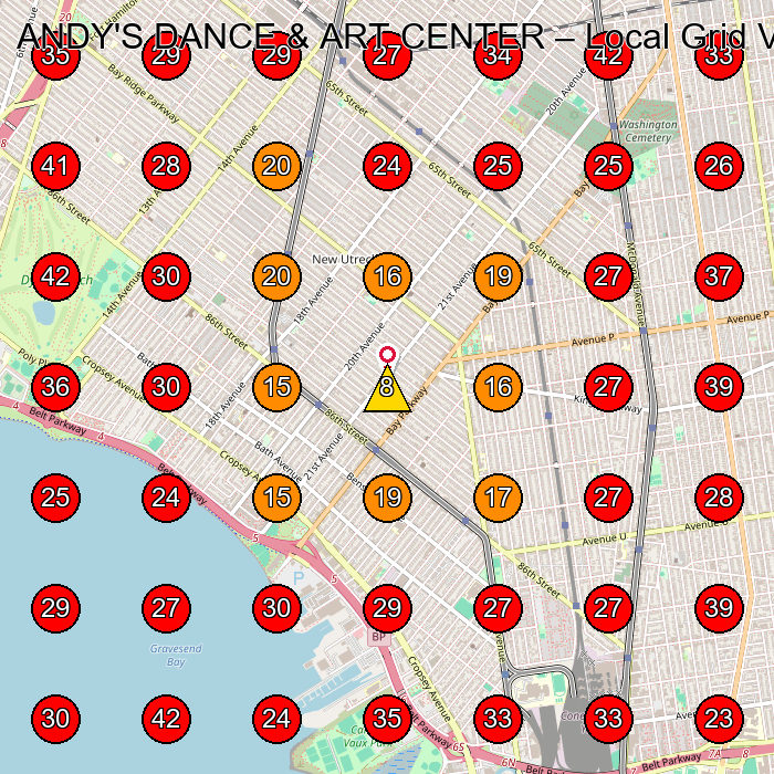 ANDY'S DANCE & ART CENTER GeoGrid visibility map for Dance School in Brooklyn